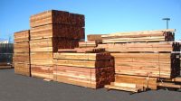 B.C. government releases statement on Canada/ U.S. softwood lumber negotiations