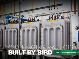 bird construction website