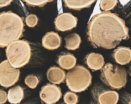 logs softwood lumber