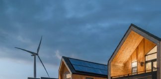 ai image wood energy